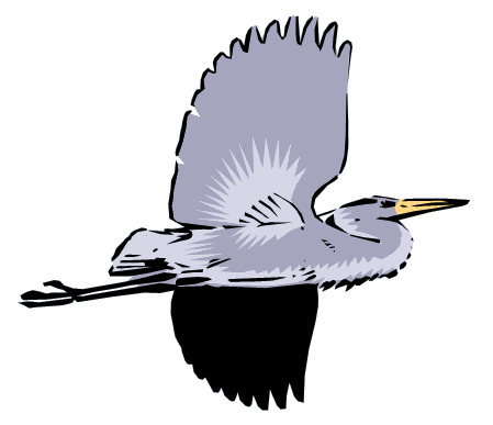 Picture of Heron