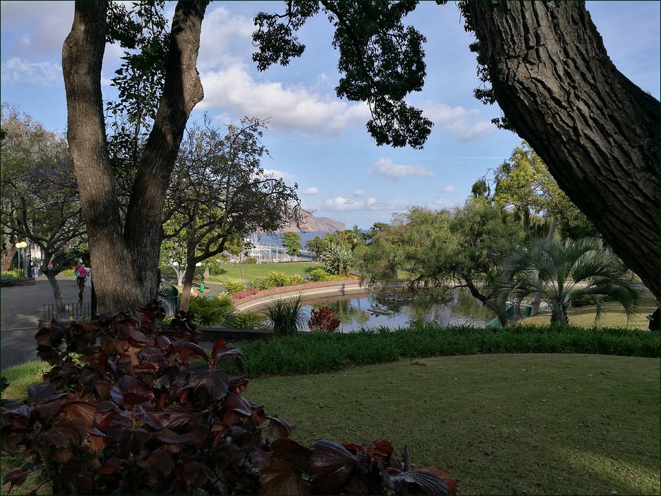 Park in March 2019
